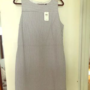 Banana Republic blue seersucker A line shift